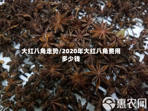 大红八角走势/2020年大红八角费用多少钱-第1张图片