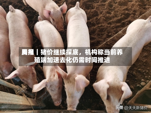 费用周报｜猪价继续探底，机构称当前养殖端加速去化仍需时间推进-第2张图片