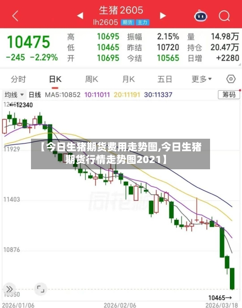 【今日生猪期货费用走势图,今日生猪期货行情走势图2021】-第1张图片