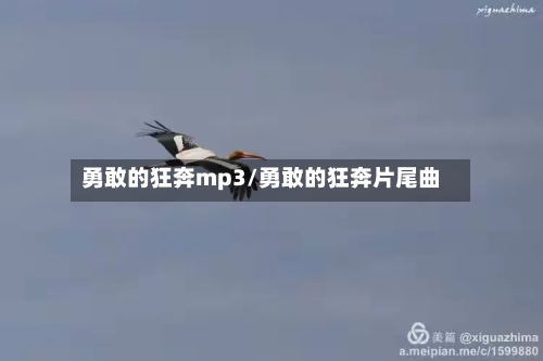 勇敢的狂奔mp3/勇敢的狂奔片尾曲-第2张图片