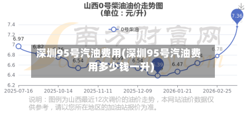 深圳95号汽油费用(深圳95号汽油费用多少钱一升)-第3张图片