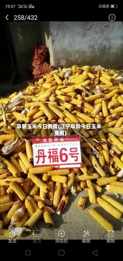 阜新玉米今日费用(辽宁阜新今日玉米费用)-第2张图片