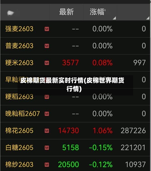 皮棉期货最新实时行情(皮棉世界期货行情)-第1张图片