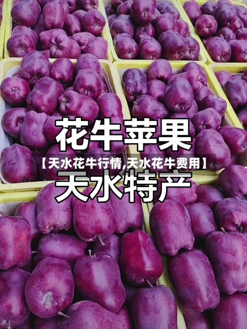 【天水花牛行情,天水花牛费用】-第1张图片