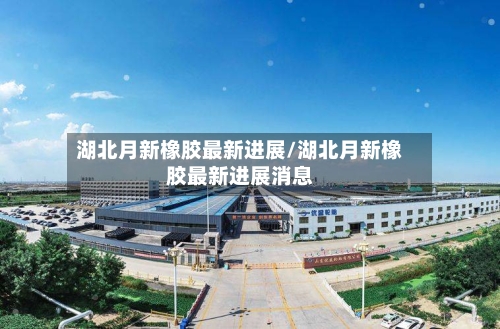 湖北月新橡胶最新进展/湖北月新橡胶最新进展消息-第1张图片