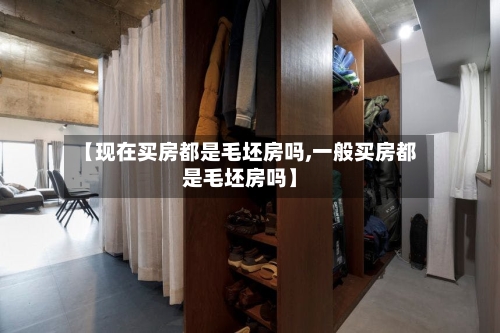 【现在买房都是毛坯房吗,一般买房都是毛坯房吗】-第3张图片