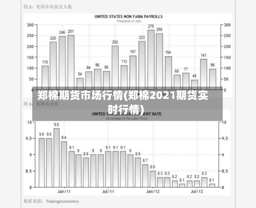 郑棉期货市场行情(郑棉2021期货实时行情)-第1张图片