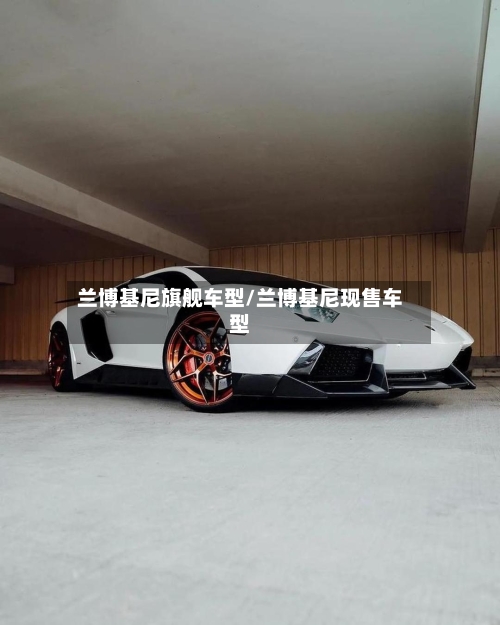 兰博基尼旗舰车型/兰博基尼现售车型-第1张图片