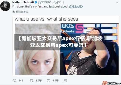 【新加坡亚太交易所apex行情,新加坡亚太交易所apex可靠吗】-第3张图片