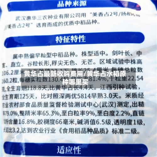 黄华占最新收购费用/黄华占水稻原种哪里买-第2张图片