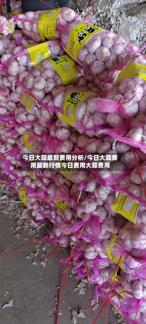 今日大蒜最新费用分析/今日大蒜费用最新行情今日费用大蒜费用-第2张图片