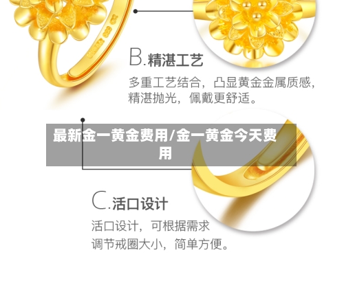 最新金一黄金费用/金一黄金今天费用-第3张图片