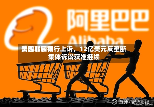 美国比较高法院驳回银行上诉	，12亿美元反垄断集体诉讼获准继续-第1张图片