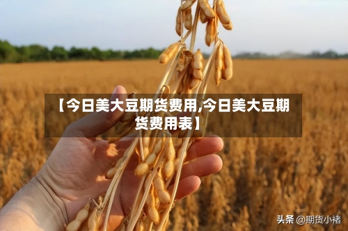 【今日美大豆期货费用,今日美大豆期货费用表】-第1张图片