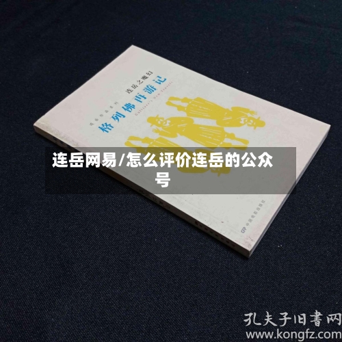 连岳网易/怎么评价连岳的公众号-第1张图片