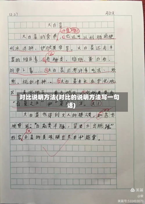 对比说明方法(对比的说明方法写一句话)-第1张图片