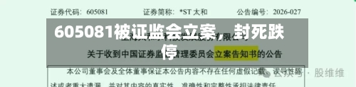 605081被证监会立案	，封死跌停-第1张图片