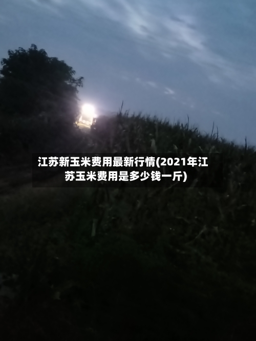 江苏新玉米费用最新行情(2021年江苏玉米费用是多少钱一斤)-第1张图片