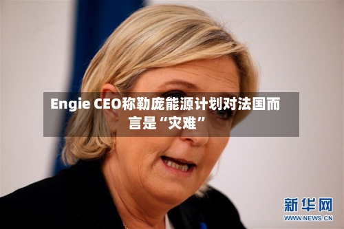 Engie CEO称勒庞能源计划对法国而言是“灾难”-第3张图片