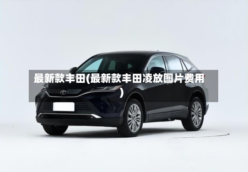 最新款丰田(最新款丰田凌放图片费用)-第2张图片