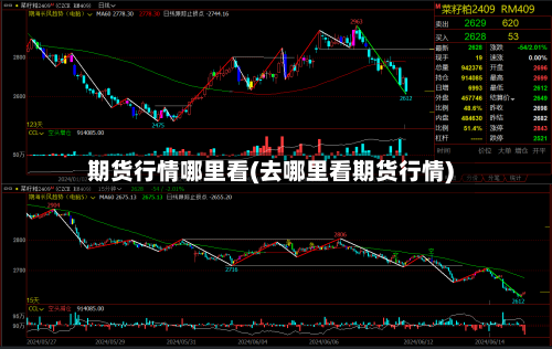 期货行情哪里看(去哪里看期货行情)-第2张图片