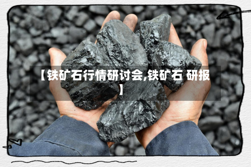 【铁矿石行情研讨会,铁矿石 研报】-第2张图片