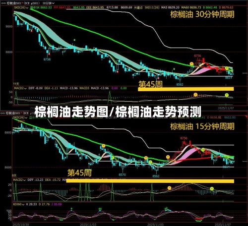 棕榈油走势图/棕榈油走势预测-第1张图片