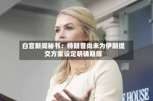 白宫新闻秘书：特朗普尚未为伊朗提交方案设定明确期限-第1张图片