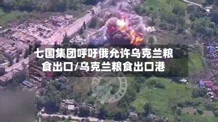 七国集团呼吁俄允许乌克兰粮食出口/乌克兰粮食出口港-第2张图片