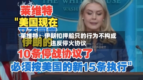 莱维特：伊朗扣押船只的行为不构成违反停火协议-第2张图片