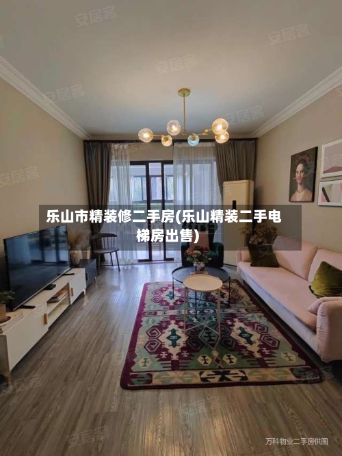 乐山市精装修二手房(乐山精装二手电梯房出售)-第1张图片