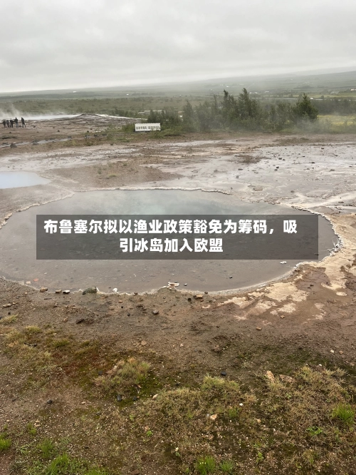 布鲁塞尔拟以渔业政策豁免为筹码，吸引冰岛加入欧盟-第3张图片