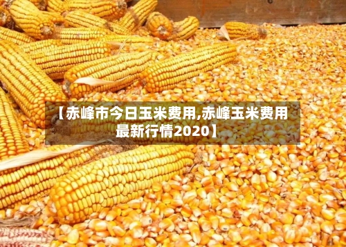 【赤峰市今日玉米费用,赤峰玉米费用最新行情2020】-第3张图片