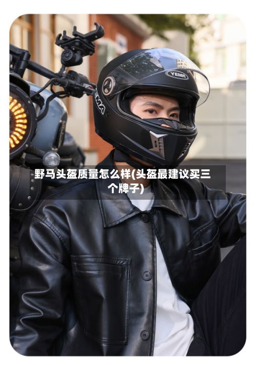 野马头盔质量怎么样(头盔最建议买三个牌子)-第2张图片
