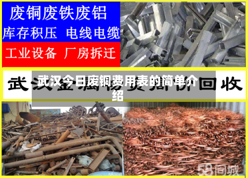 武汉今日废铜费用表的简单介绍-第1张图片