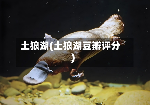 土狼湖(土狼湖豆瓣评分)-第2张图片