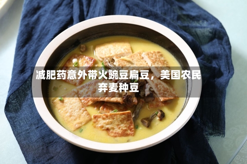 减肥药意外带火豌豆扁豆，美国农民弃麦种豆-第1张图片