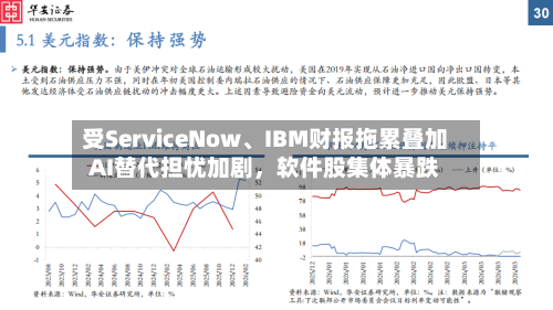 受ServiceNow、IBM财报拖累叠加AI替代担忧加剧，软件股集体暴跌-第3张图片