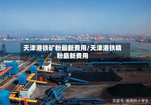 天津港铁矿粉最新费用/天津港铁精粉最新费用-第3张图片