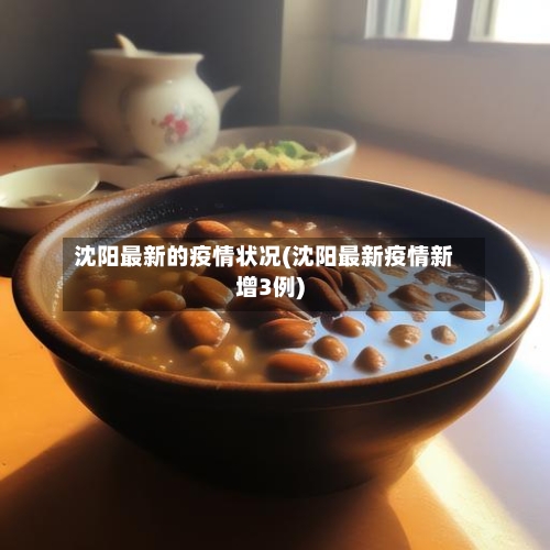 沈阳最新的疫情状况(沈阳最新疫情新增3例)-第3张图片