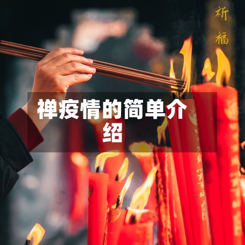 禅疫情的简单介绍-第3张图片