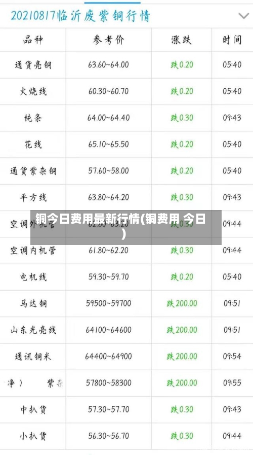 铜今日费用最新行情(铜费用 今日)-第1张图片