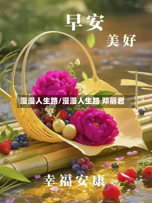 漫漫人生路/漫漫人生路 邓丽君-第2张图片