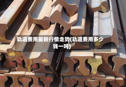 轨道费用最新行情走势(轨道费用多少钱一吨)-第2张图片