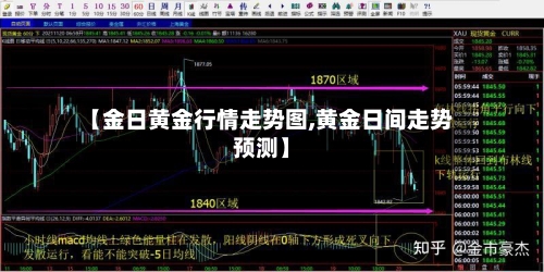 【金日黄金行情走势图,黄金日间走势预测】-第3张图片