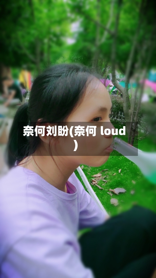 奈何刘盼(奈何 loud)-第2张图片