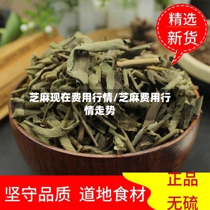 芝麻现在费用行情/芝麻费用行情走势-第3张图片