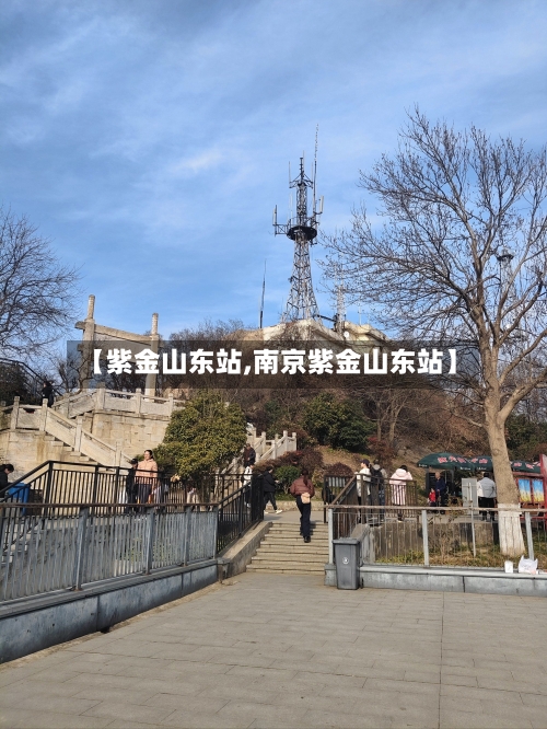 【紫金山东站,南京紫金山东站】-第3张图片