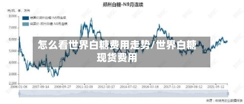 怎么看世界白糖费用走势/世界白糖现货费用-第1张图片