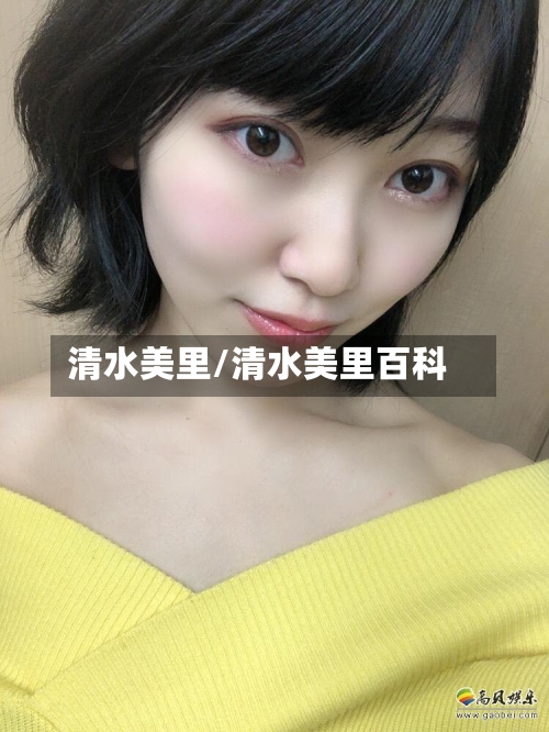 清水美里/清水美里百科-第3张图片